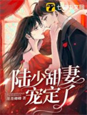 《陆少宠妻甜又暖》