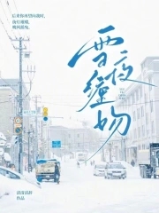 雪夜小说完整版