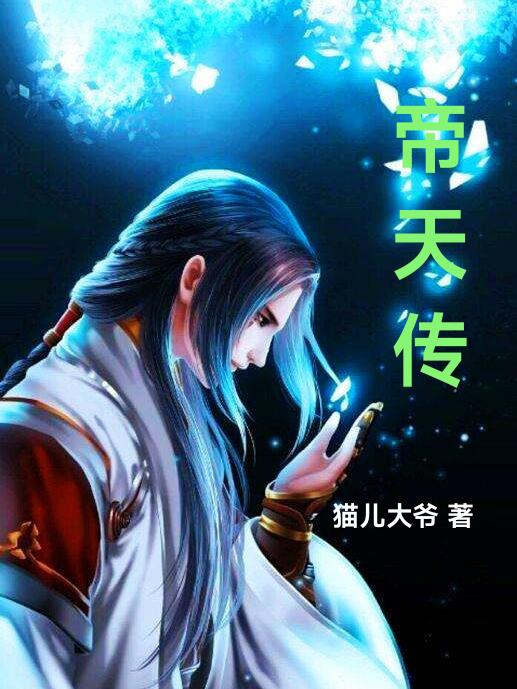 帝天传媒有限公司