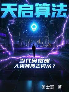 天启算法