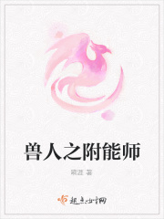 兽人之附能师