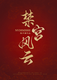 小说禁宫风云