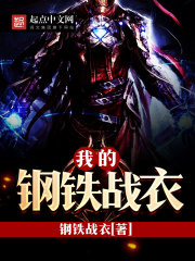 我的钢铁战衣介绍