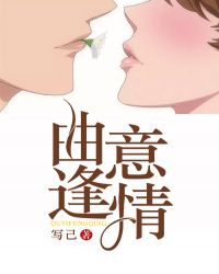 曲意逢情小说晋江