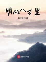 明风小说